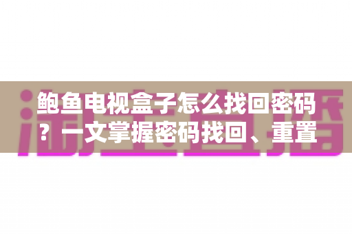 鲍鱼电视盒子怎么找回密码？一文掌握密码找回、重置与安全设置全流程指南