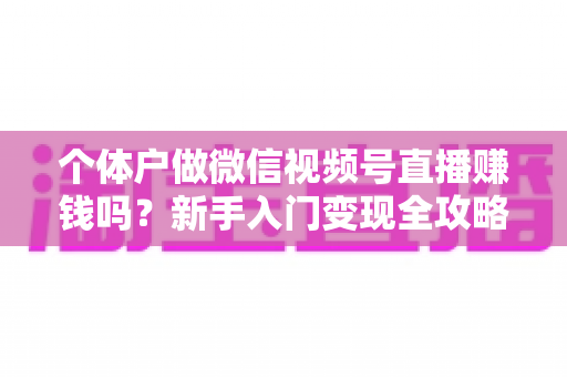 个体户做微信视频号直播赚钱吗？新手入门变现全攻略与真实收益解析