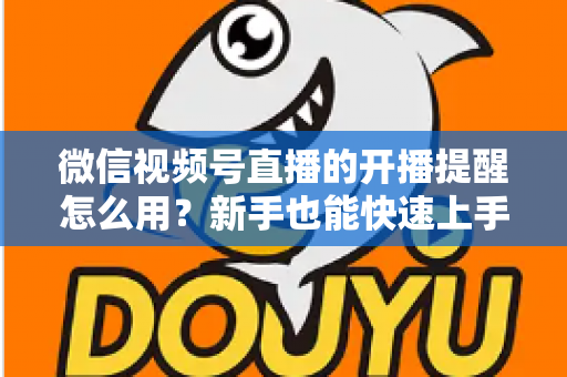 微信视频号直播的开播提醒怎么用？新手也能快速上手的完整操作指南与涨粉秘籍