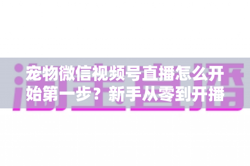 宠物微信视频号直播怎么开始第一步？新手从零到开播的完整实操指南