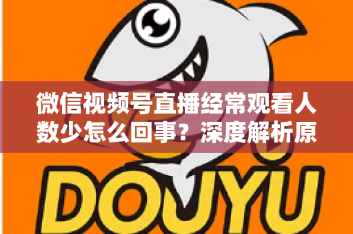 微信视频号直播经常观看人数少怎么回事？深度解析原因与提升观看量的实用指南