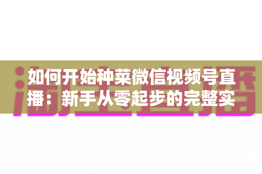 如何开始种菜微信视频号直播:新手从零起步的完整实战指南 如何开始种菜微信视频号直播:新手从零起步的完整实战指南
